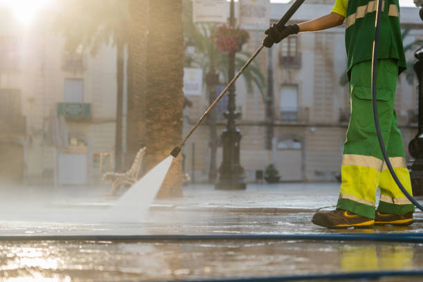 Best Roof Pressure Washing  in Rapids, NY